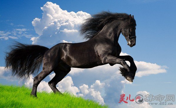 什么是文昌贵人