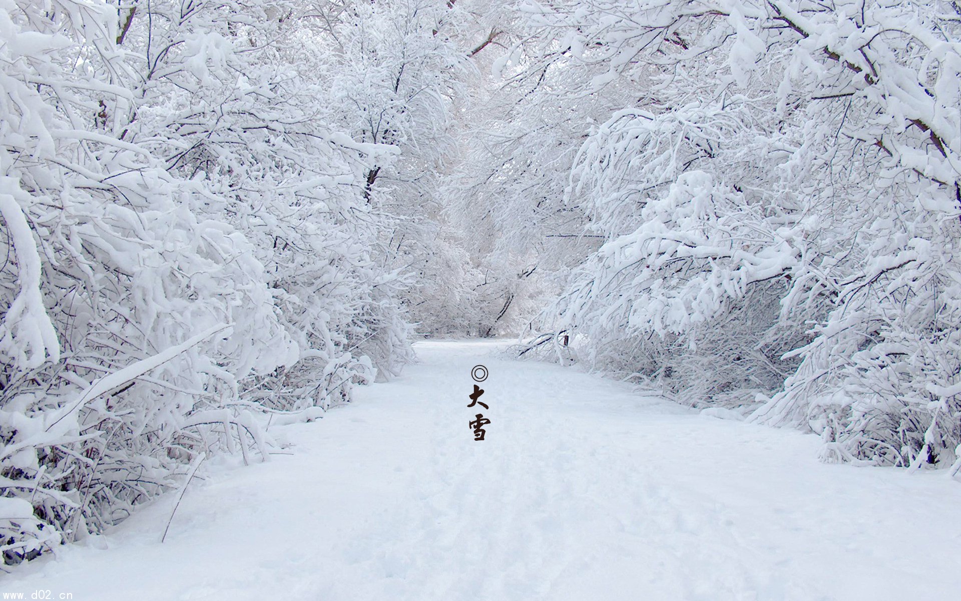 小雪过了,大雪是什么时候啊?