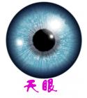算命大师高级预测师的详细介绍